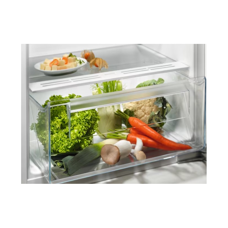 ELECTROLUX LFB3AE12S FRIGORIFERO MONOPORTA DA...