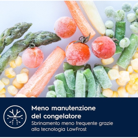 ELECTROLUX LNS5LE18S FRIGORIFERO COMBINATO DA INCASSO 271LT LOW FROST CLASSE E