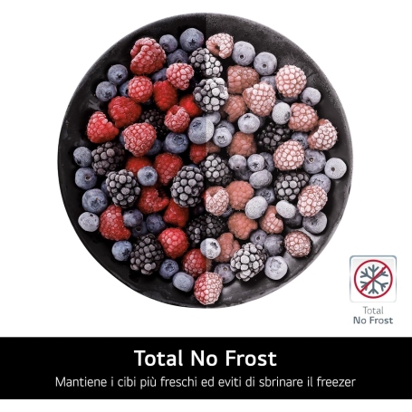 LG GBV3100CPY FRIGORIFERO COMBINATO 344LT NO FROST CLASSE C INOX