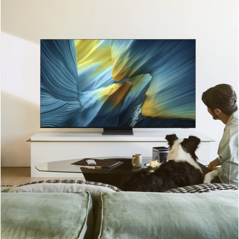 SAMSUNG QE65S95FATXZT TV OLED 65'' 4K SMART TV...