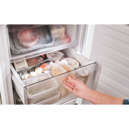 CANDY CNCQ2T518EX FRIGORIFERO COMBINATO 279LT NO FROST CLASSE E INOX