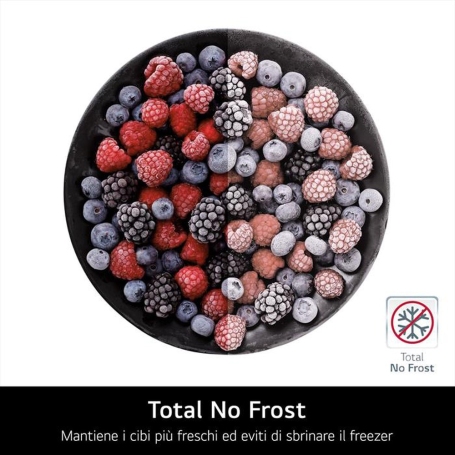 LG GBV22NCCEP FRIGORIFERO COMBINATO NO FROST 387LT CLASSE C NERO