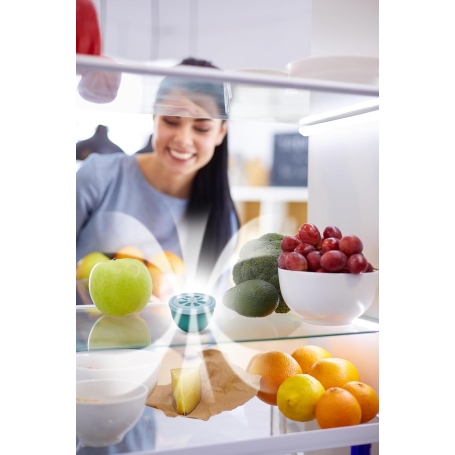 Meliconi Eco Stop Odori Frigo con Alghe Marine Naturali, Assorbe Cattivi Odori e Umidità in Eccesso,Confezione da 2 Ovetti