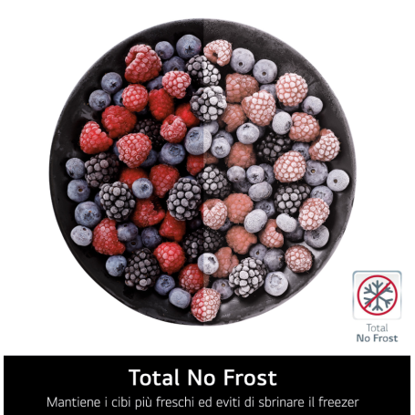 LG GBBS726AEV FRIGORIFERO COMBINATO LIBERA INSTALLAZIONE 375LT NO FROST WIFI CLASSE A NERO