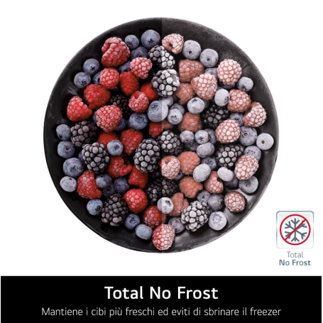 LG GBBS323CPY FRIGORIFERO COMBINATO LIBERA INSTALLAZIONE 375LT NO FROST WIFI CLASSE C ARGENTO