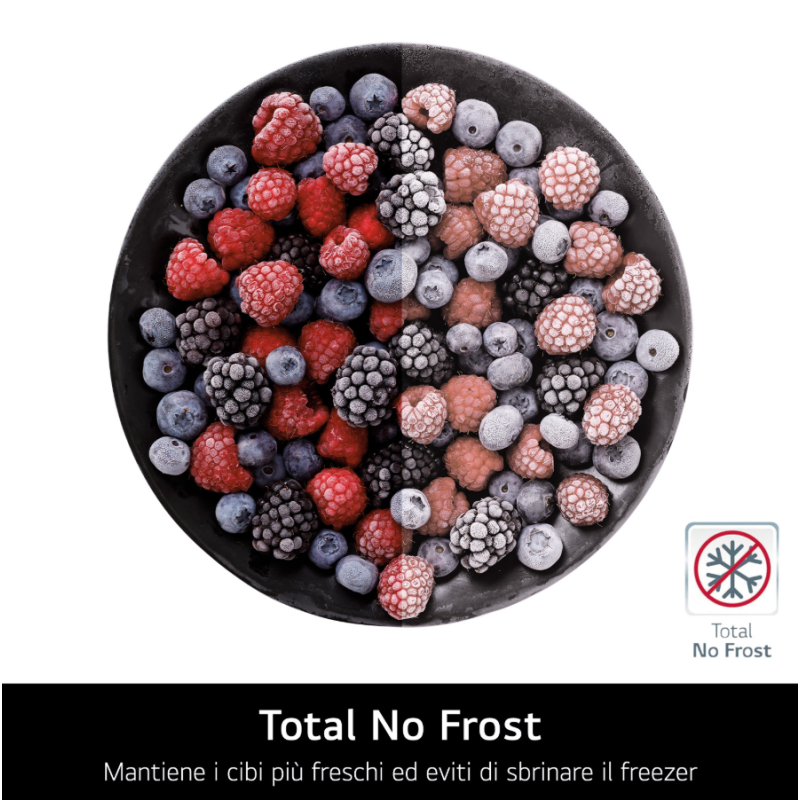 LG GBBS514CPY FRIGORIFERO COMBINATO LIBERA...