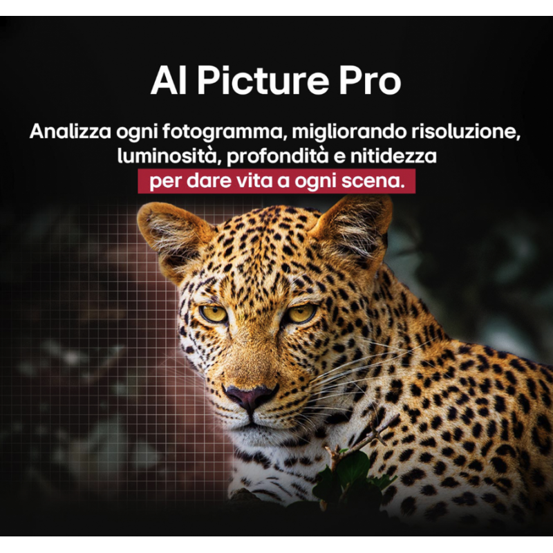 LG OLED55B56LA TV OLED 55" SMART TV 4K UHD...