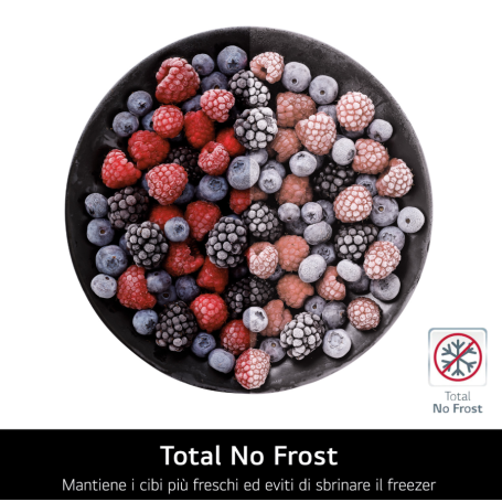 LG GBBSJ20DPY FRIGORIFERO COMBINATO LIBERA INSTALLAZIONE 375LT NO FROST WIFI CLASSE D INOX