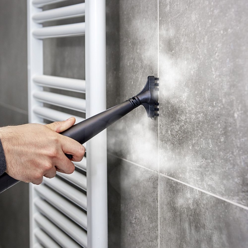 Polti Stainover SC30 Smacchiatore Portatile per...