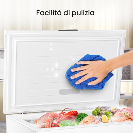 HISENSE FC321D4AWLE Congelatore a pozzetto 248Lt, Classe E