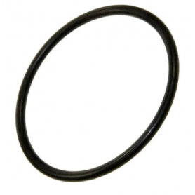 GUARNIZIONE ORIGINALE DELLA POMPA DI SCARICO COMPATIBILE CON LAVASTOVIGLIE CANDY - 1678787OH