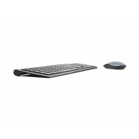 ADJ 520-00020 KW10 PLATINUM KIT TASTIERA+MOUSE WIRELESS RESISTENTE AGLI SCHIZZI D'ACQUA COLORE SILVER/NERO - PROMO ADJ 520-00020 KW10 PLATINUM KIT TASTIERA+MOUSE WIRELESS RESISTENTE AGLI SCHIZZI D'ACQUA COLORE SILVER/NERO - PROMO