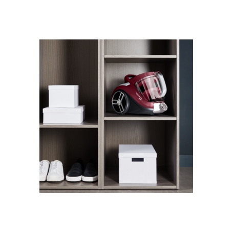 ROWENTA RO4B63 ASPIRAPOLVERE A TRAINO 900W CON FILO SENZA SACCO CAPIENZA 2.5LT ANIMAL CARE - PROMO