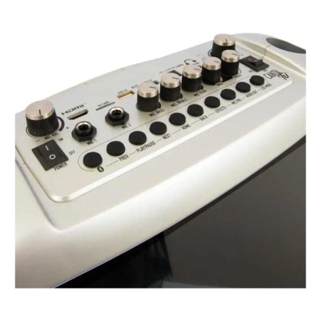 GIOCHI PREZIOSI CTC10000 CANTA TU PRO SILVER KARAOKE PORTATILE CON MICROFONO WIRELESS