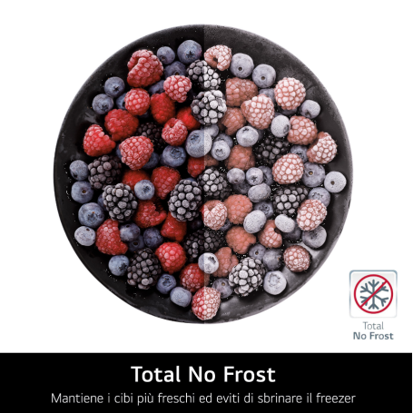 LG GTF744PZPED FRIGORIFERO DOPPIA PORTA 509LT TOTAL NO FROST WIFI CLASSE E INOX - PROMO