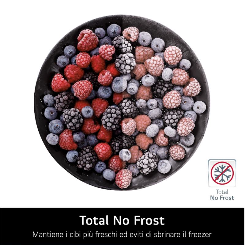 LG GTF916SEPED FRIGORIFERO DOPPIA PORTA 592LT...