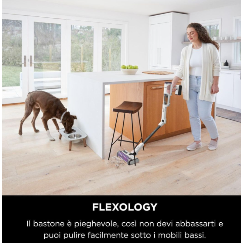 SHARK IW1611EU ASPIRAPOLVERE SENZA FILO DETECT PRO