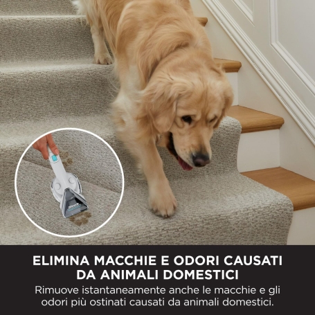 SHARK PX200EUT PULITORE TAPPEZZERIA E SMACCHIATORE PORTATILE