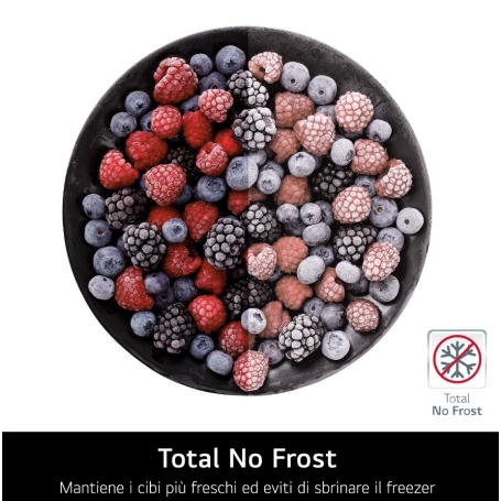 LG GBV5140CPY FRIGORIFERO COMBINATO LIBERA INSTALLAZIONE 344LT NO FROST CLASSE C ARGENTO