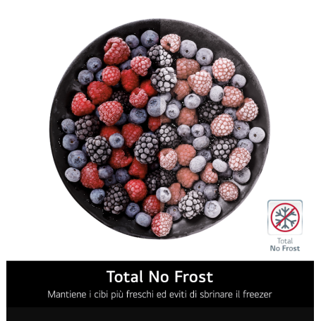 LG GBV5240DPY FRIGORIFERO COMBINATO LIBERA INSTALLAZIONE 387LT NO FROST CLASSE D - ARGENTO - PROMO