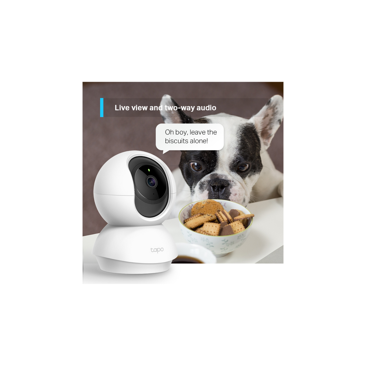 TAPO TC70 TELECAMERA PER INTERNO 360° CONNESSIONE WI-FI