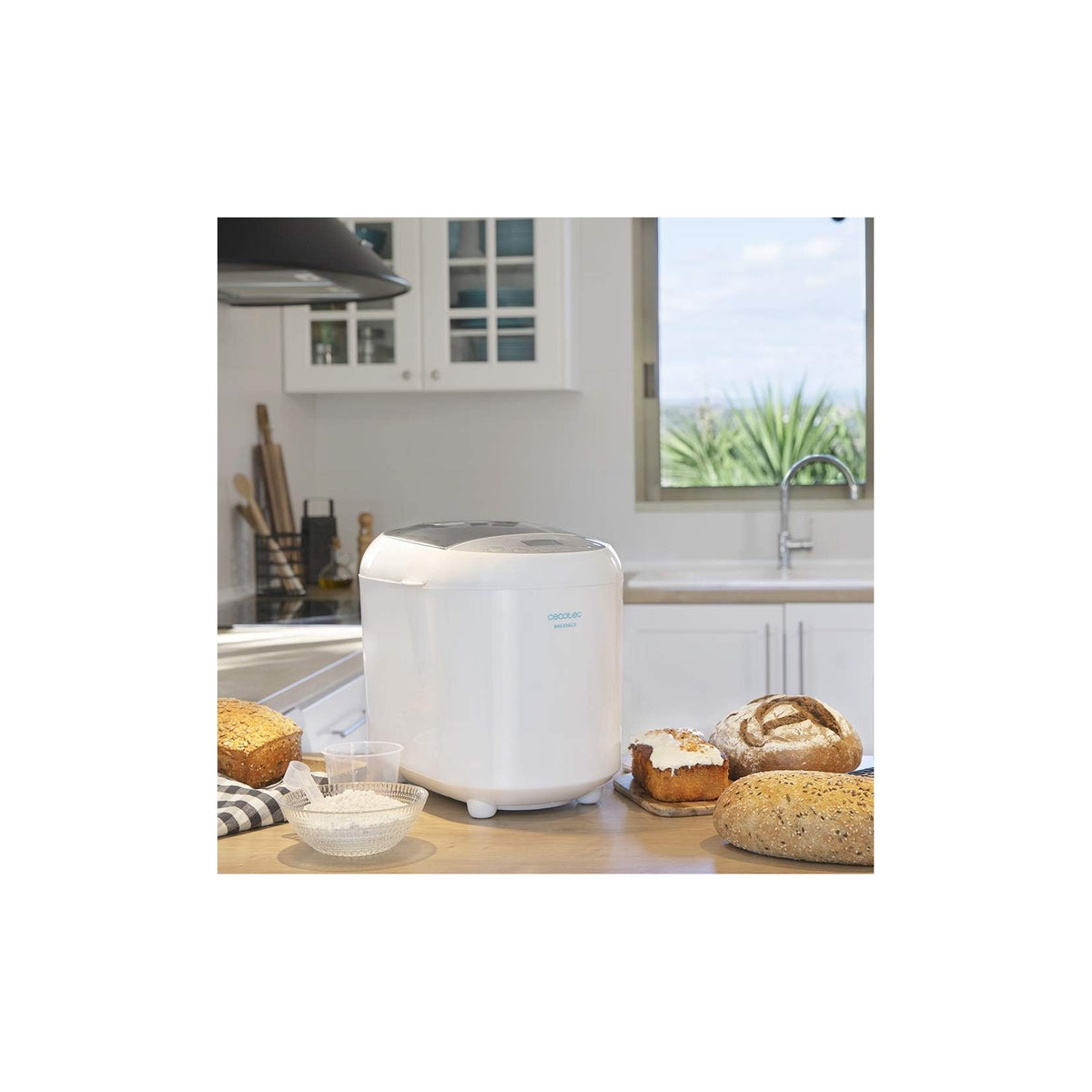 CECOTEC BREAD E CO 1000 DELICIOUS MACCHINA PER IL PANE 550W CAPACITA' MAX 1KG - BREADCO1000DELICIOUS