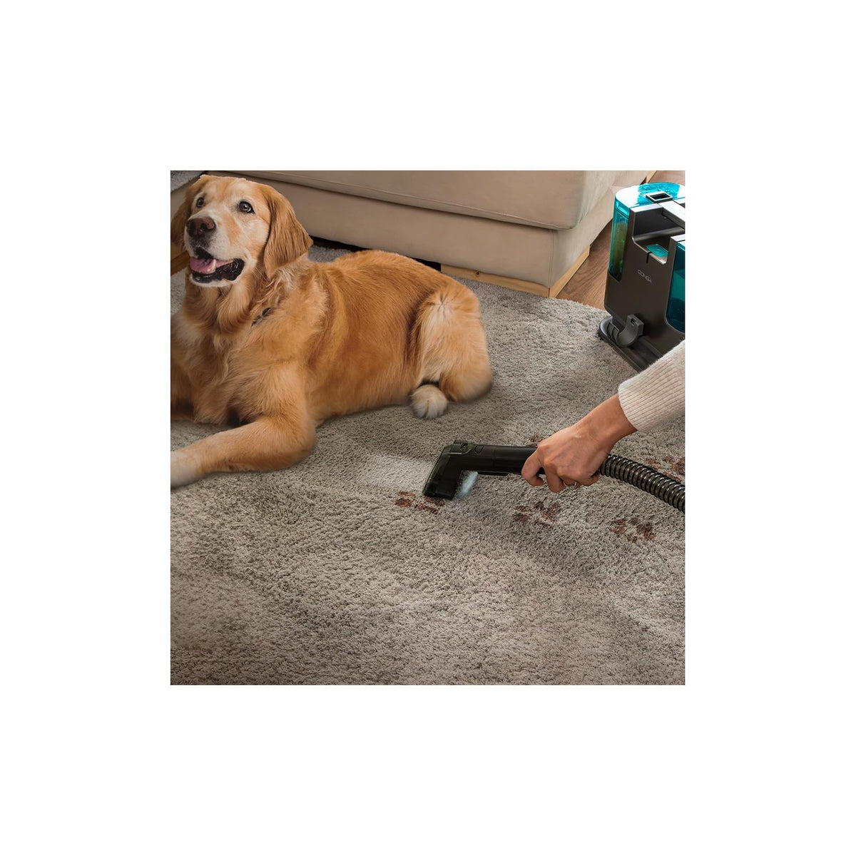 CECOTEC CONGA 3000 CARPETCLEAN PULITORE PER TAPPEZZERIA