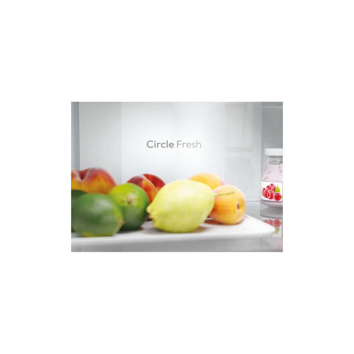 CANDY CNCQ2T620EX FRIGORIFERO COMBINATO 409LT NO FROST CLASSE E INOX
