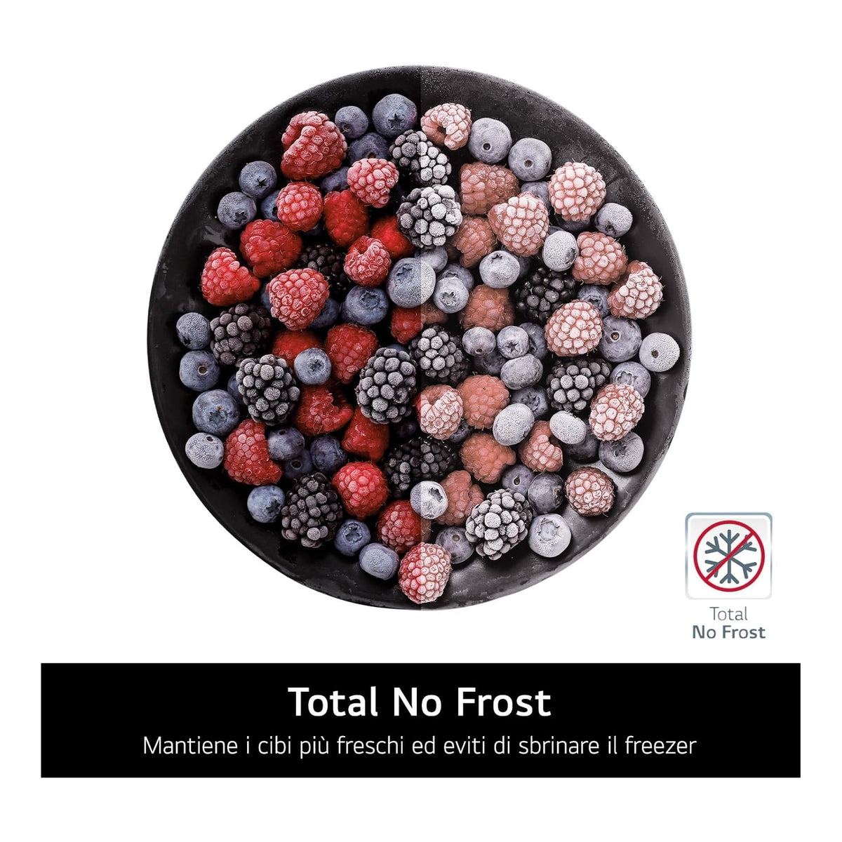 LG GBBW322CPY FRIGORIFEERO COMBINATO 465LT TOTAL NO FROST CLASSE C COLORE ARGENTO