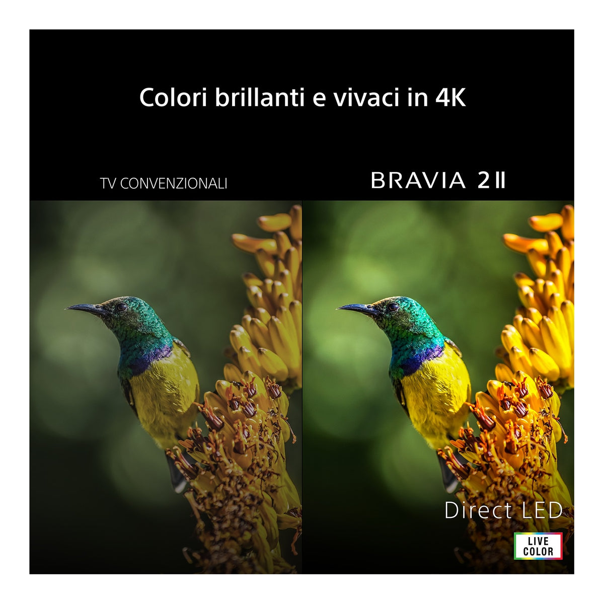 Sony K55S25M2PB.CEI BRAVIA 2 II Tv Led 55" 4K Google TV Classe E