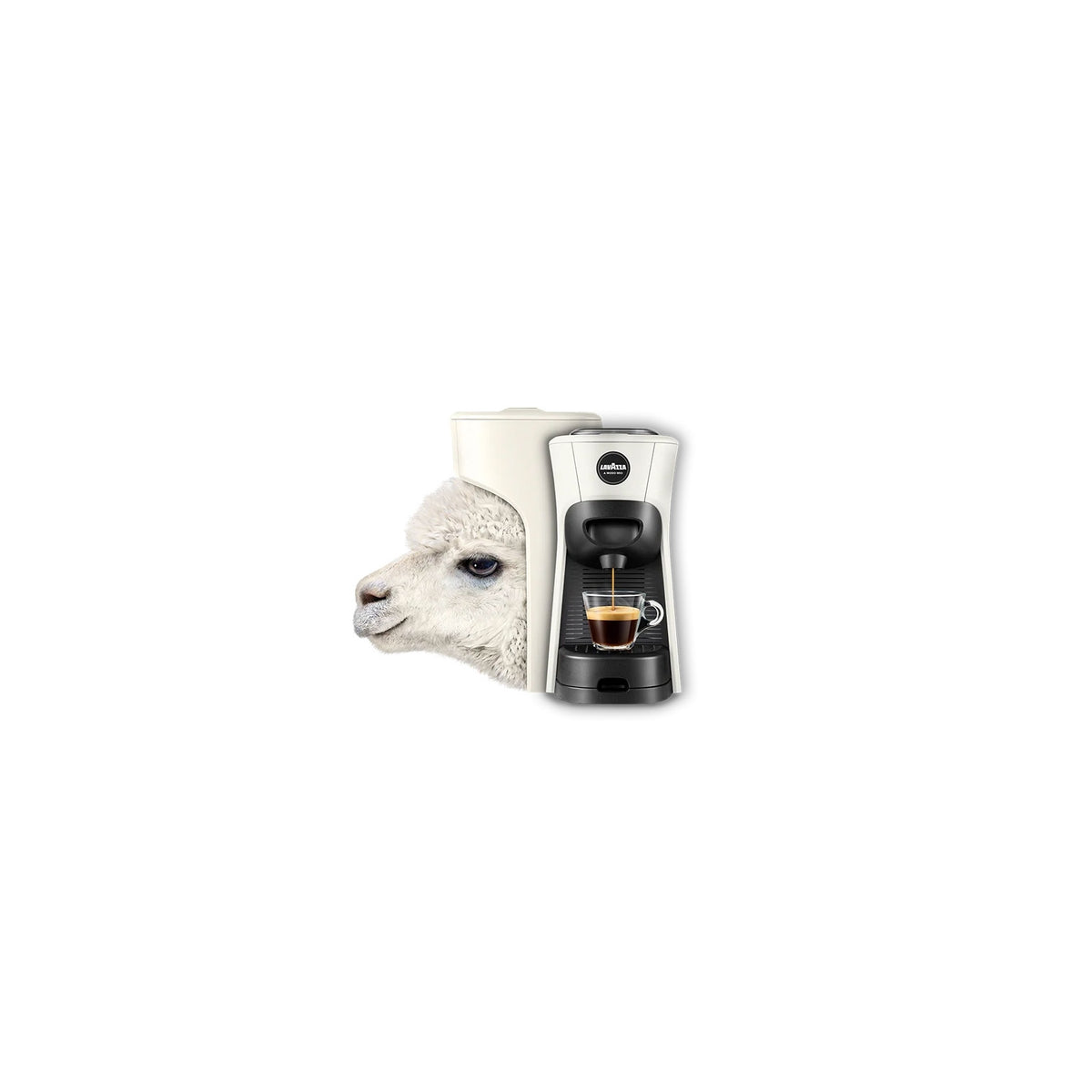 LAVAZZA 18000533 TINY ECO MACCHINA DA CAFFÈ A CAPSULE SERBATOIO 0,6 LT COLORE BIANCA